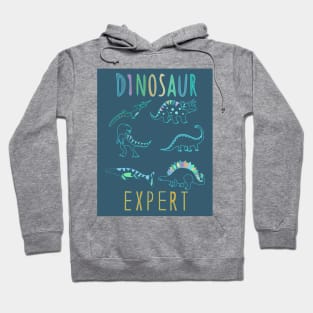 Dinosaur expert! Hoodie